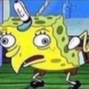 Meet your Posher, Owen